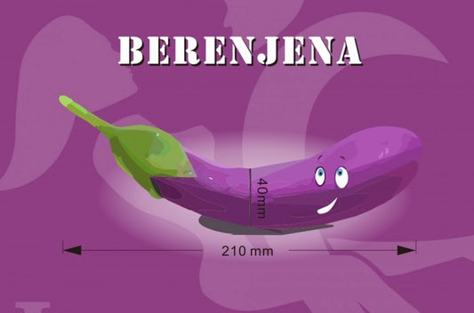 Vibrador Berenjena