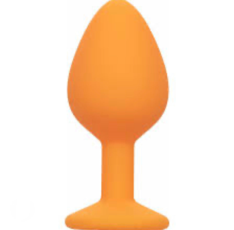 Plug Anal.