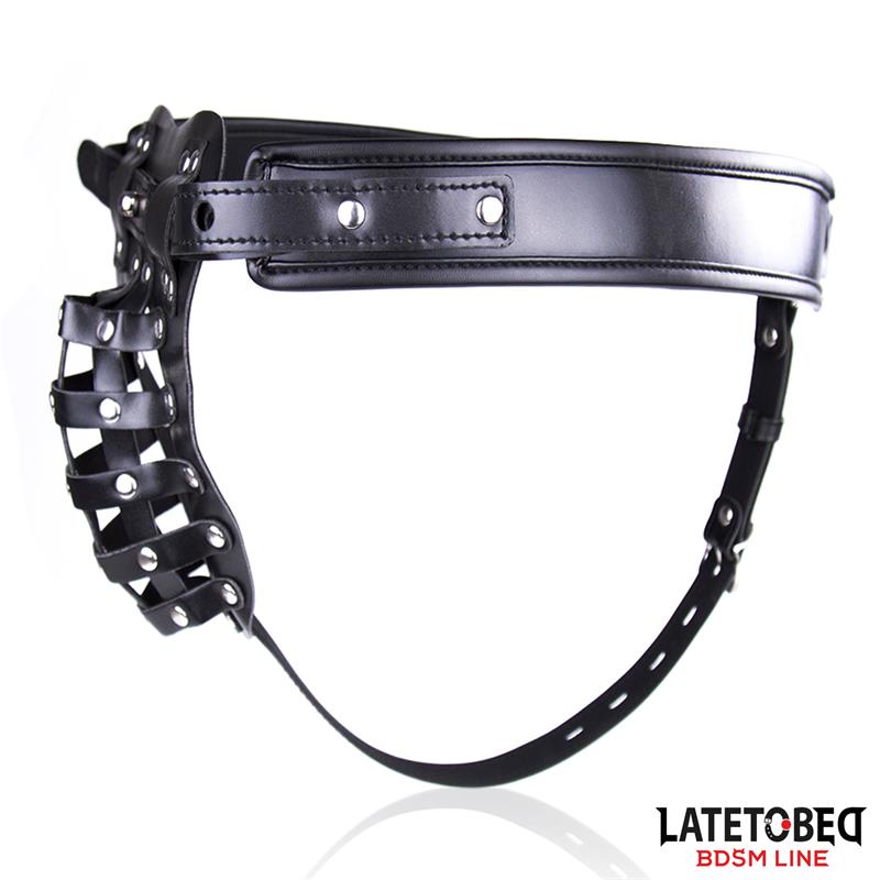BDSM LINE Cinturón de Castidad Masculino con Candado Ajustable
